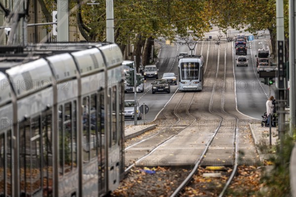 Bogestra tram, line 302 on Alleestraße, driving school, training trip, tram line in the middle of the street, stop J.-Mayer-S/Jahrh.-Halle, North Rhine-Westphalia, Germany