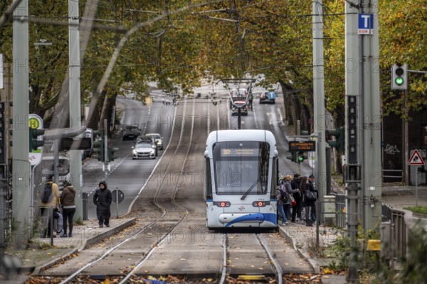 Bogestra tram, line 302 on Alleestraße, driving school, training trip, tram line in the middle of the street, stop J.-Mayer-S/Jahrh.-Halle, North Rhine-Westphalia, Germany