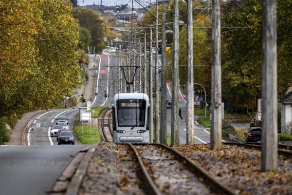 Bogestra tramway, line 305, on the Wattenscheider Hellweg, tram line in the middle of the street, North Rhine-Westphalia, Germany