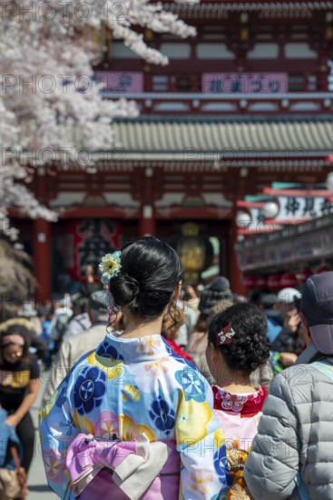 Two young Japanese woman wearing kimono surrounded by numerous visitors on Nakamise-dori shopping street, Cherry Blossom, Asakusa Shrine or Senso-ji Temple, Buddhist temple complex, Asakusa, Tokyo, Japan