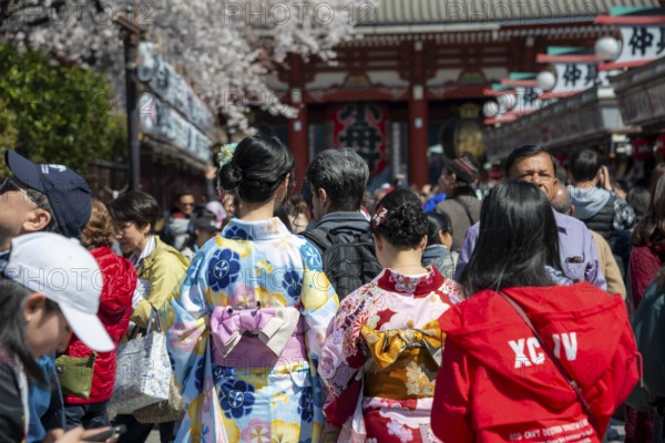 Two young Japanese woman wearing kimono surrounded by numerous visitors on Nakamise-dori shopping street, Cherry Blossom, Asakusa Shrine or Senso-ji Temple, Buddhist temple complex, Asakusa, Tokyo, Japan