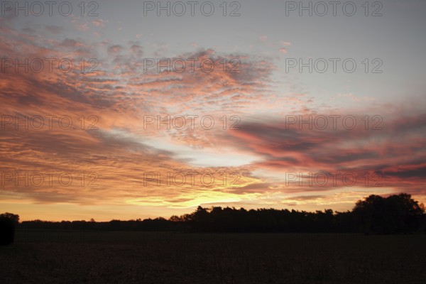 Sky, sunrise, orange, red, cloudy, landscape, colorful, beauty, Germany, special colors just in front of sunrise