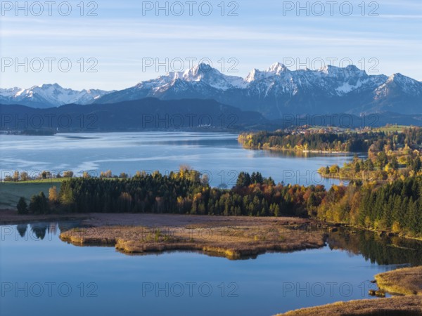 View of a lake with mountains in the background and autumn vegetation, Illasbergsee, Forggensee, near Roßhaupten, Ostallgäu, Allgäu, Swabia, Bavaria, Germany