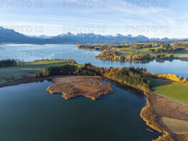 Clear lake with surrounding colorful autumn forests and the Alps in the background, Illasbergsee, Forggensee, near Roßhaupten, Ostallgäu, Allgäu, Swabia, Bavaria, Germany