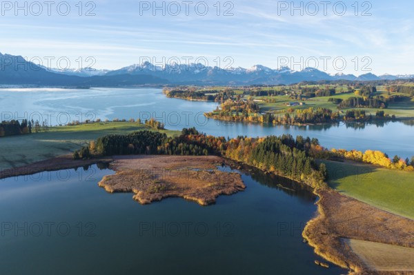 Wide landscape with calm lake and colorful trees against alpine backdrop, Illasbergsee, Forggensee, near Roßhaupten, Ostallgäu, Allgäu, Swabia, Bavaria, Germany