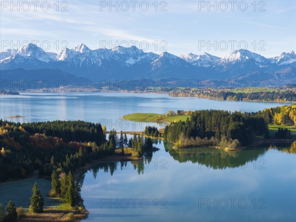 Natural scenery with snow-covered mountains, a lake and autumn leaves, Illasbergsee, Forggensee, near Roßhaupten, Ostallgäu, Allgäu, Swabia, Bavaria, Germany