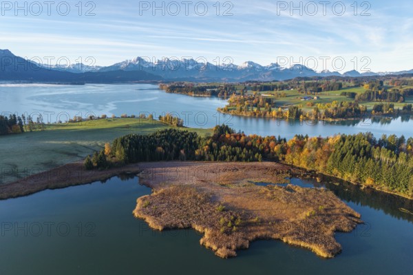 Autumn landscape with a lake surrounded by trees and mountains, Illasbergsee, Forggensee, near Roßhaupten, Ostallgäu, Allgäu, Swabia, Bavaria, Germany