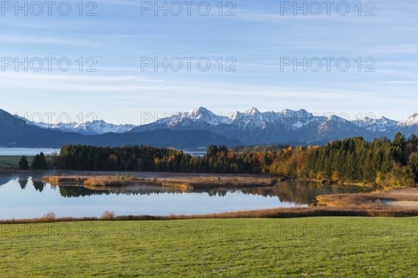 View of a lake surrounded by forests and snow-covered mountains in an autumnal atmosphere, Forggensee, near Roßhaupten, Ostallgäu, Allgäu, Swabia, Bavaria, Germany