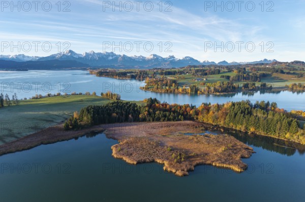 Extensive autumn landscape with a lake and a view of the mountains in the background, Illasbergsee, Forggensee, near Roßhaupten, Ostallgäu, Allgäu, Swabia, Bavaria, Germany