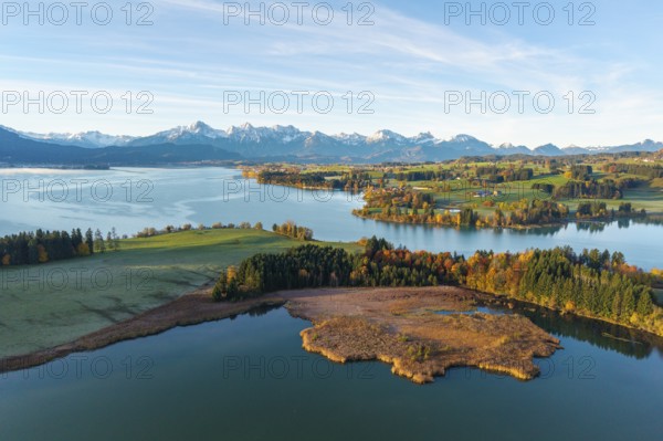 Landscape with clear lake surrounded by autumn forests and alpine scenery on the horizon, Illasbergsee, Forggensee, near Roßhaupten, Ostallgäu, Allgäu, Swabia, Bavaria, Germany