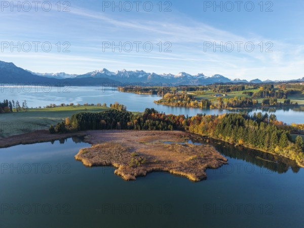 Clear image of a lake surrounded by autumn trees and mountain views, Illasbergsee, Forggensee, near Roßhaupten, Ostallgäu, Allgäu, Swabia, Bavaria, Germany