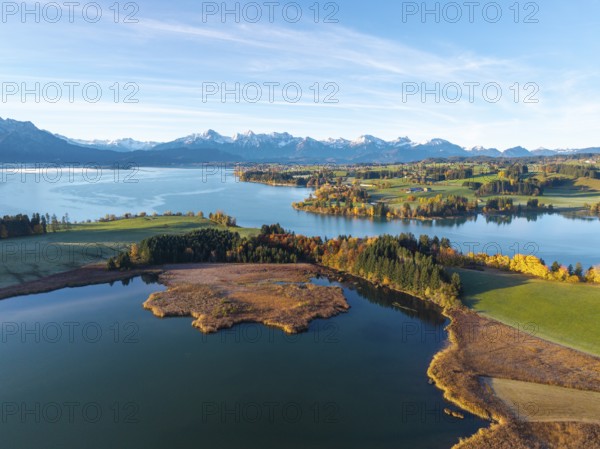 Wide landscape with calm lake, surrounded by autumn forests and alpine background, Illasbergsee, Forggensee, near Roßhaupten, Ostallgäu, Allgäu, Swabia, Bavaria, Germany