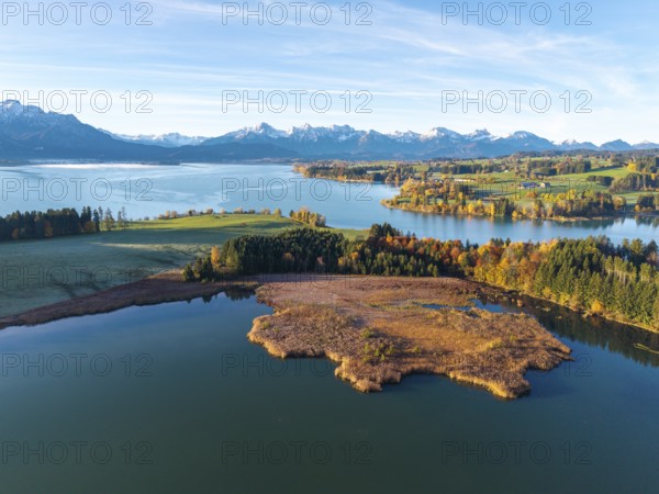Clear lake, surrounded by autumn trees, with alpine peaks on the horizon under clear sky, Illasbergsee, Forggensee, near Roßhaupten, Ostallgäu, Allgäu, Swabia, Bavaria, Germany