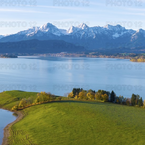 Green hills and trees on the shores of a quiet lake against the backdrop of majestic alpine mountains, Forggensee, near Roßhaupten, Ostallgäu, Allgäu, Swabia, Bavaria, Germany