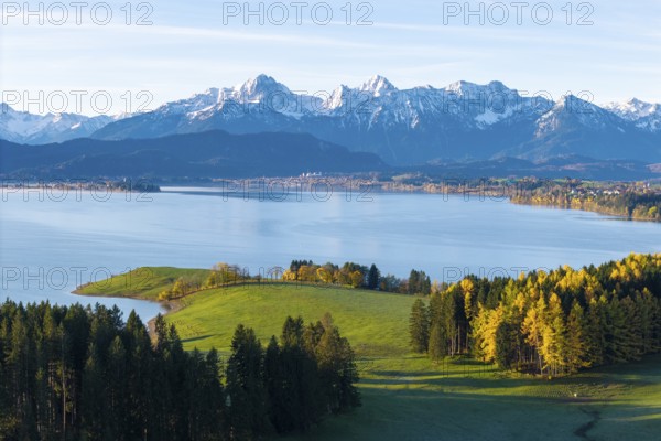 Tranquil alpine landscape with wooded hills, lake and snow-capped mountains in the background