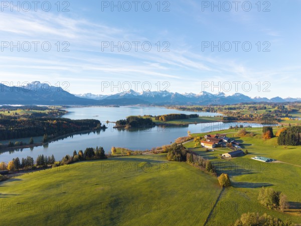 Green meadows and a farm on the shore of a lake with mountains in the background, Illasbergsee, Forggensee, near Roßhaupten, Ostallgäu, Allgäu, Swabia, Bavaria, Germany