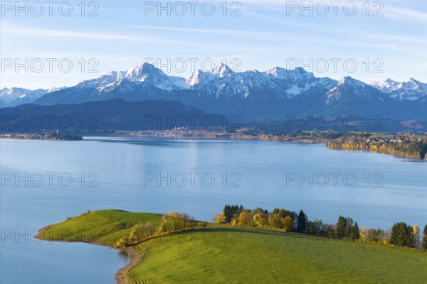 View over quiet lake and rolling hills to the chain of snow-capped alpine mountains in the background, Forggensee, near Roßhaupten, Ostallgäu, Allgäu, Swabia, Bavaria, Germany