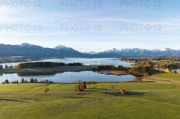 Extensive scene with lake and mountains, surrounded by green meadows and autumn colors, Illasbergsee, Forggensee, near Roßhaupten, Ostallgäu, Allgäu, Swabia, Bavaria, Germany
