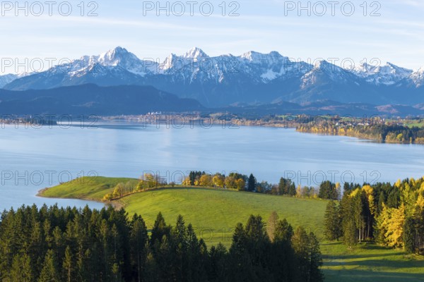 Green hills and forests with Alps in the background under blue sky on the shores of a lake, Forggensee, near Roßhaupten, Ostallgäu, Allgäu, Swabia, Bavaria, Germany