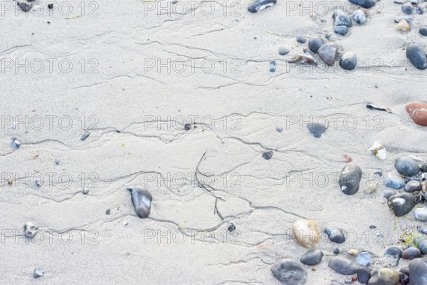 Pattern in sand with scattered stones on a quiet sandy beach, drainage channels, runoff water, gutters, meanders, structure, natural structures, flint, flints, pebbles, beach stones, beach, mudflats at low tide, soft light, atmosphere, shore, detail, close-up, nobody, maritime, deserted, sea, south beach, North Sea, Dune island, Heligoland, Pinneberg District, Schleswig-Holstein, Germany