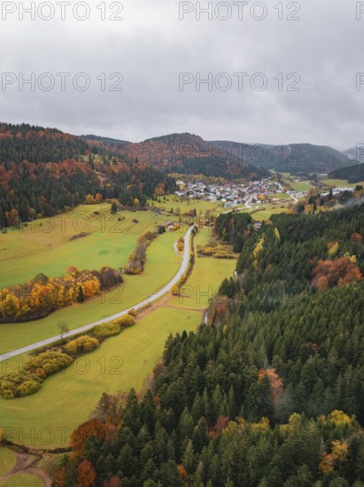 View of a curved road lined with colorful autumn leaves in hilly surroundings, Wehingen, Tuttlingen district, Germany