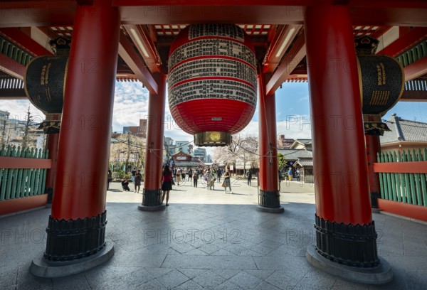 Huge red lantern in the Hozomon treasure chamber gate of Asakusa Shrine or Senso-ji Temple, Buddhist temple complex, Asakusa, Tokyo, Japan