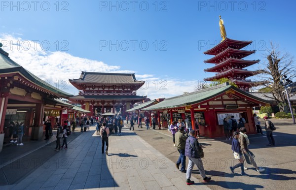 Five-story pagoda and Hozomon treasure chamber gate of Asakusa Shrine or Senso-ji Temple, blooming cherry trees, Buddhist temple complex, Asakusa, Tokyo, Japan