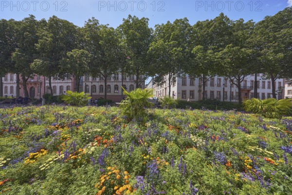 Garden area, flower bed, trees, general architecture, pedestrians as a secondary motif, blue sky, cumulus clouds, Schillerplatz, Mainz, state capital, district-free city, Rhineland-Palatinate, Germany