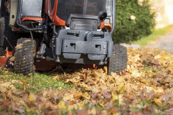 Removing leaves with a riding mower in a public park, Mutterstadt, Rheinland Pfalz