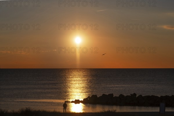 Sunset on the Baltic Sea with protective breakwaters, Darß, Ahrenshoop, Mecklenburg-Western Pomerania, Germany
