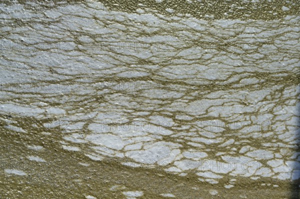 Structure of pollution in the port of Ahrenshoop, Darß, Baltic Sea, Mecklenburg-Western Pomerania, Germany