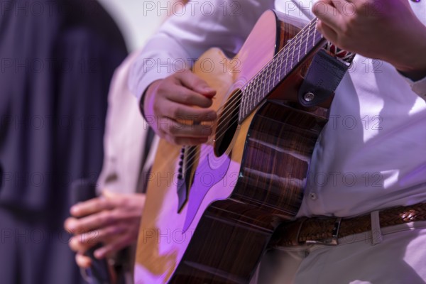 Musician playing the guitar