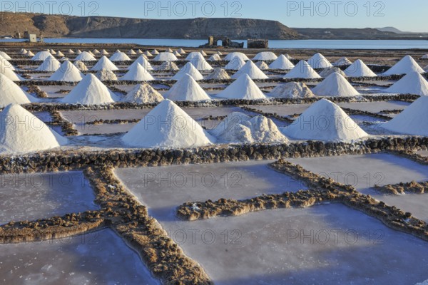 Small conical mounds of sea salt in historic saline for salt production Las Salinas de Janubio, Yaiza, Lanzarote, Canary Islands, Spain