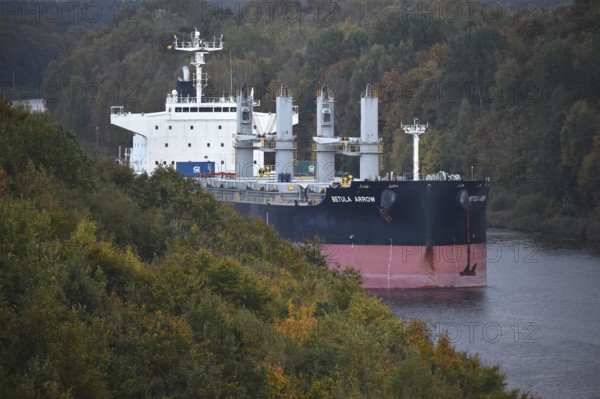 Freighter BETUAL ARROW sails in autumn in the Kiel Canal, NOK, Kiel Canal, Kiel Canal, Schleswig-Holstein, Germany
