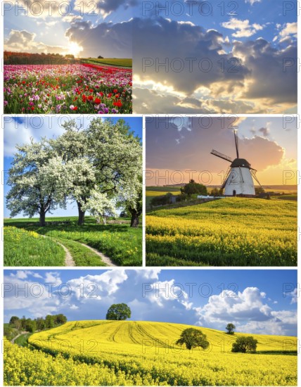 Collage of spring and summer landscapes, blooming flowers, green meadows and trees, hilly landscape with mountains, blue cloudy sky with sunrise or sunset, wallpaper illustration for banner or template background, AI generated
