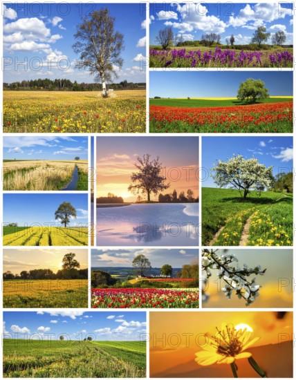 Collage of spring and summer landscapes, blooming flowers, green meadows and trees, hilly landscape with mountains, blue cloudy sky with sunrise or sunset, wallpaper illustration for banner or template background, AI generated