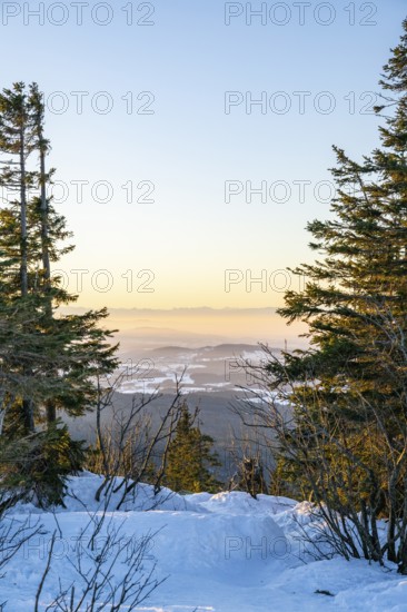 View from Mount Lusen over the hills of the bavarian forest at sunrise in winter, Bavaria, Germany