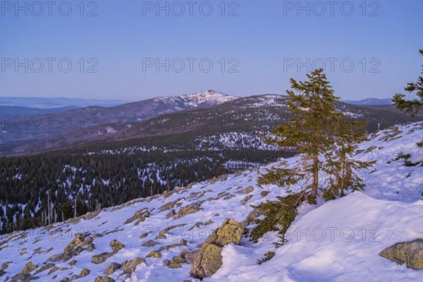 View from Mount Lusen over the hills of the bavarian forest at sunrise in winter, Bavaria, Germany