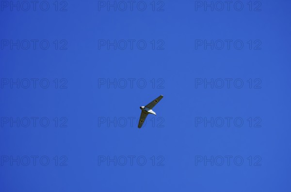 A replica of a Messerschmitt Me 163, a so-called powerhouse, during a flight demonstration at the Rossfeld Luftsportverein Rossfeld in Metzingen-Glems, Baden-Württemberg, Germany, for editorial use only