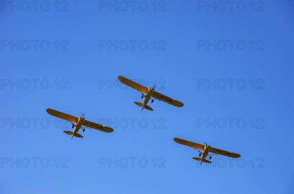 Three Piper PA-18 Super Cub aircraft from the Bravo Lima Formation flying group in formation flight during a flight demonstration at the Rossfeld Air Sports Club Air Sports Association on Rossfeld in Metzingen-Glems, Baden-Württemberg, Germany, for editorial use only