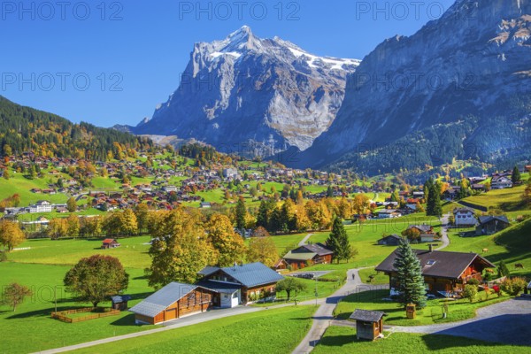 Autumn landscape with village overview and Wetterhorn 3690m, Grindelwald, Lütschinental, Bernese Oberland, Canton of Bern, Switzerland