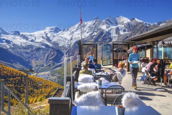 Mountain oyster terrace on Kreuzboden with Alphubel 4206m and Mischabel group 4545m in autumn, Saas-Grund, Saasertal, Valais, Switzerland