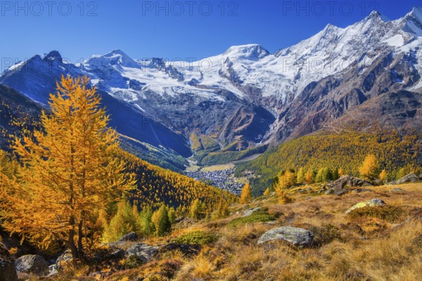 View from Kreuzboden to Saas-Fee with Alalin 4027m, Alphubel 4206m and Mischabel Group 4545m in autumn, Saas-Grund, Saasertal, Valais, Switzerland