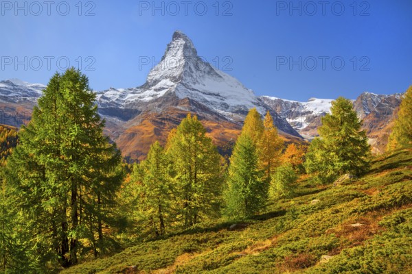Autumn landscape near the Sunnegga with Matterhorn 4478m, Zermatt, Mattertal, Valais, Switzerland
