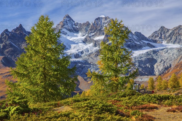 Autumn landscape on the Sunnegga with Zinalrothorn 4221m, Zermatt, Mattertal, Valais, Switzerland