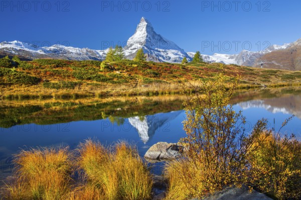 Matterhorn 4478 m with reflection in Leisee on the Sunnegga in autumn, Zermatt, Mattertal, Valais, Switzerland