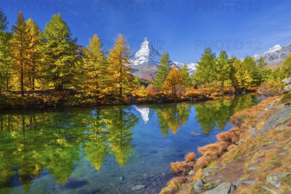 Matterhorn 4478 m with reflection in Lake Grindji in autumn, Zermatt, Mattertal, Valais, Switzerland