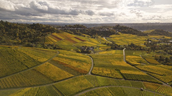 Golden sunset over the glowing autumnal vineyards on the Kappelberg between Fellbach and Stuttgart. Aerial view of the wine trail