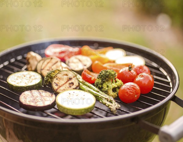 Cooking vegetables on grill outdoors, healthy lifestyle with healthy food, close up of grill with blurred background, soft golden light, picnic in the green park or garden, no people, AI generated
