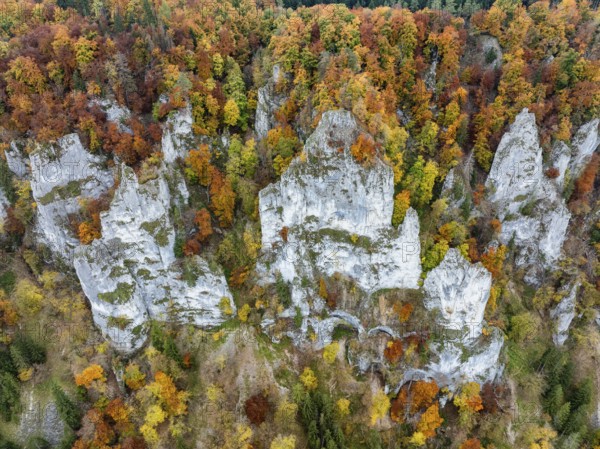 Aerial view, top down view of distinctive rock towers, Weissjura, Jurassic limestone cliffs, limestone rocks, surrounded by autumn vegetation, mixed forest, beech forest, upper Danube valley, Sigmaringen district, Baden-Württemberg, Germany